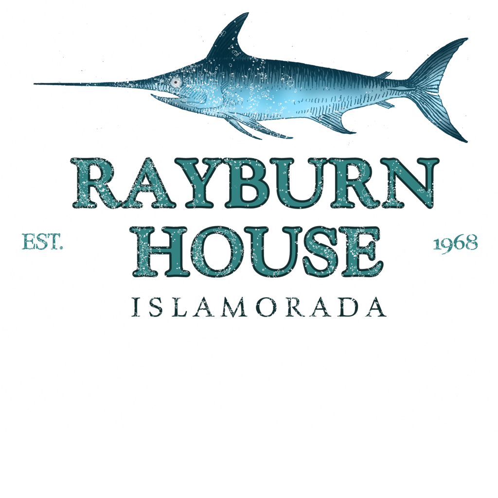 rayburn house t shirt