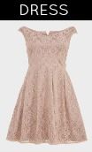 New Look Lydia Rose Bright Lace Skater Dress
