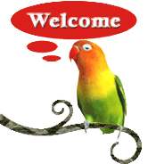 bird-welcome