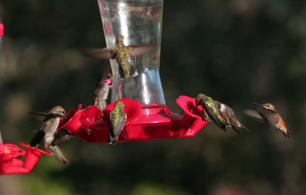 IMAGE: http://i1128.photobucket.com/albums/m486/terryger/7.jpg