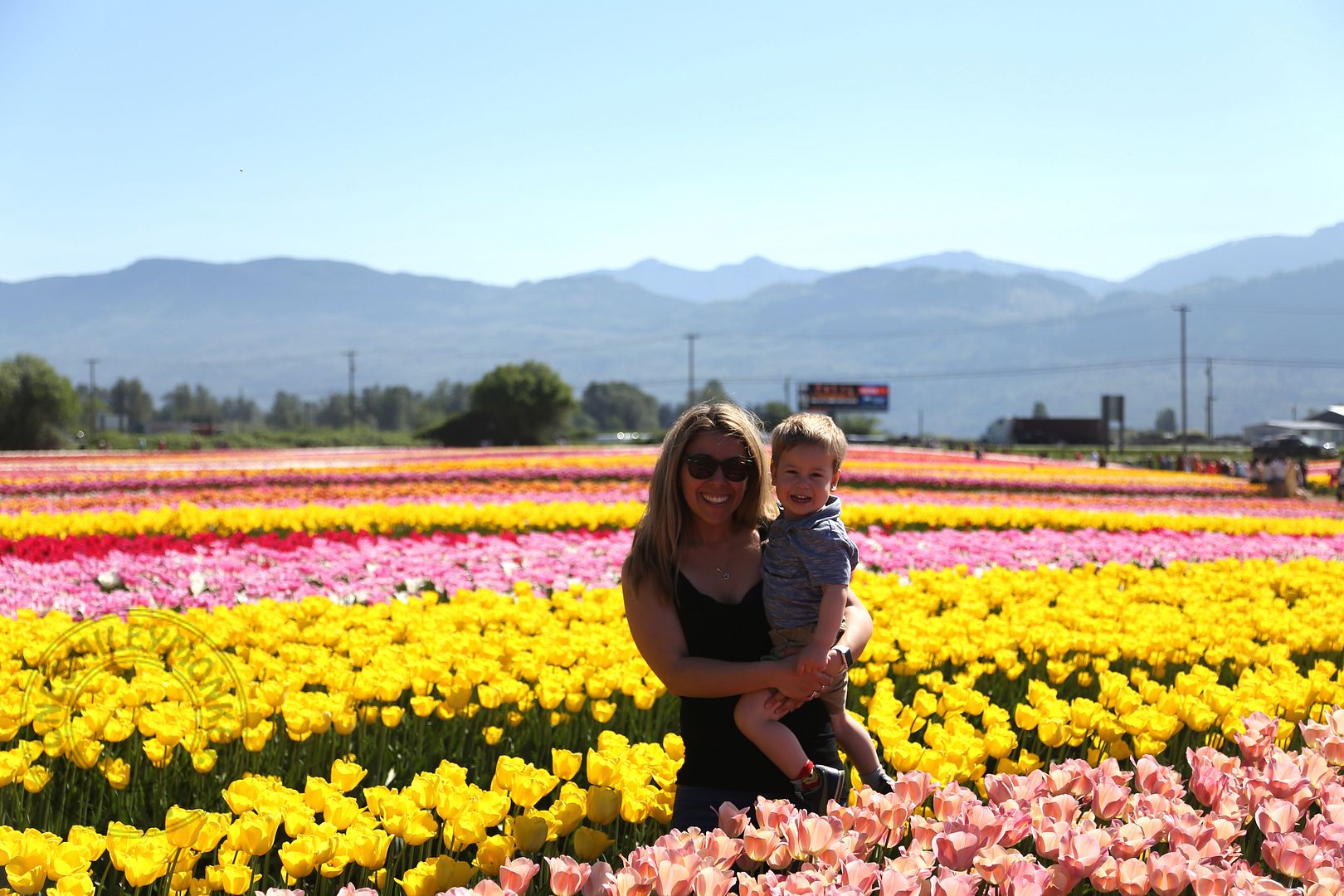 A Visit to The Abbotsford Tulip Festival