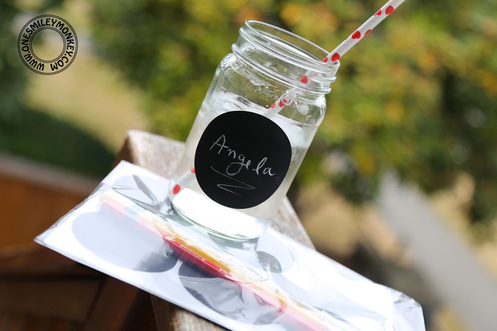 Bright Start Kids Labels {Review}