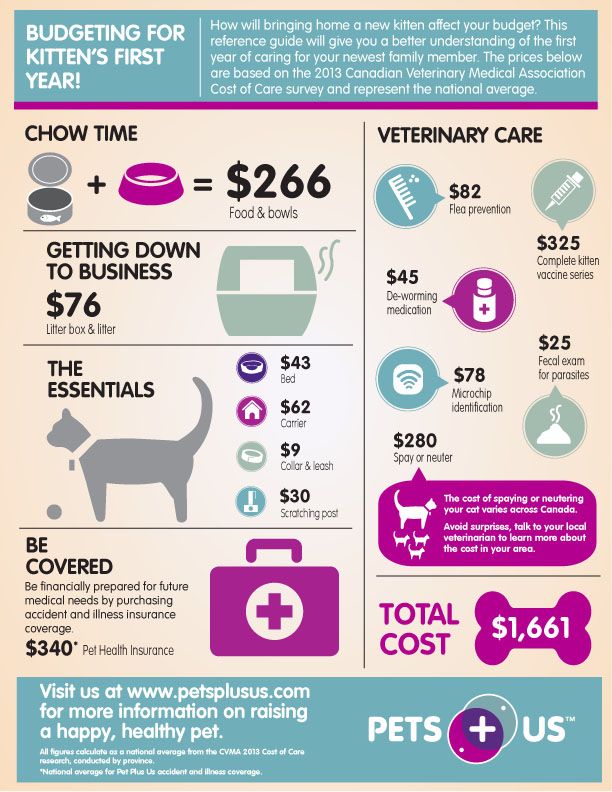 Breed Happiness with Love Your Pet Day