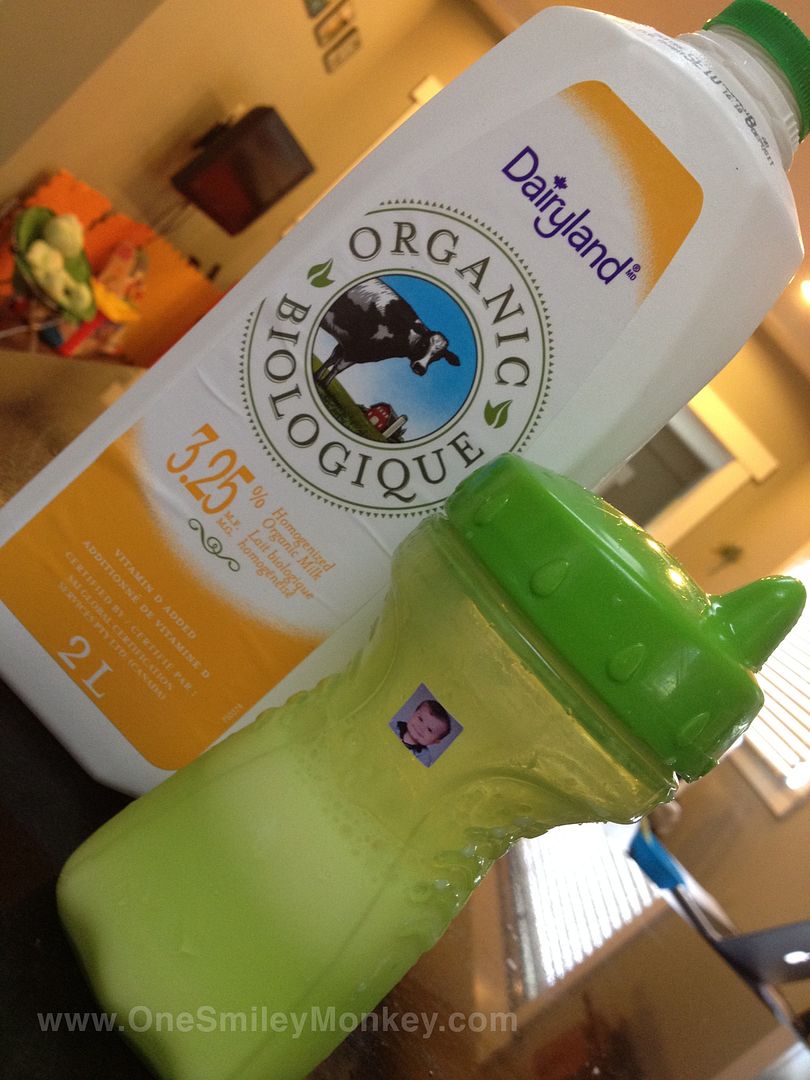 Dairyland Organic Milk Free of Hormones and Antibiotics