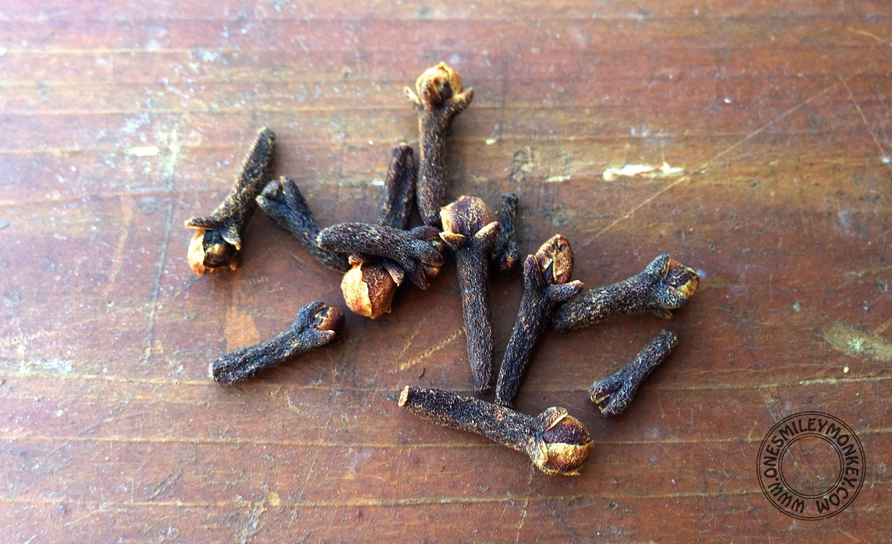 Run Out of Mints? Fill your Tin Can with Cloves! {Health Tip}