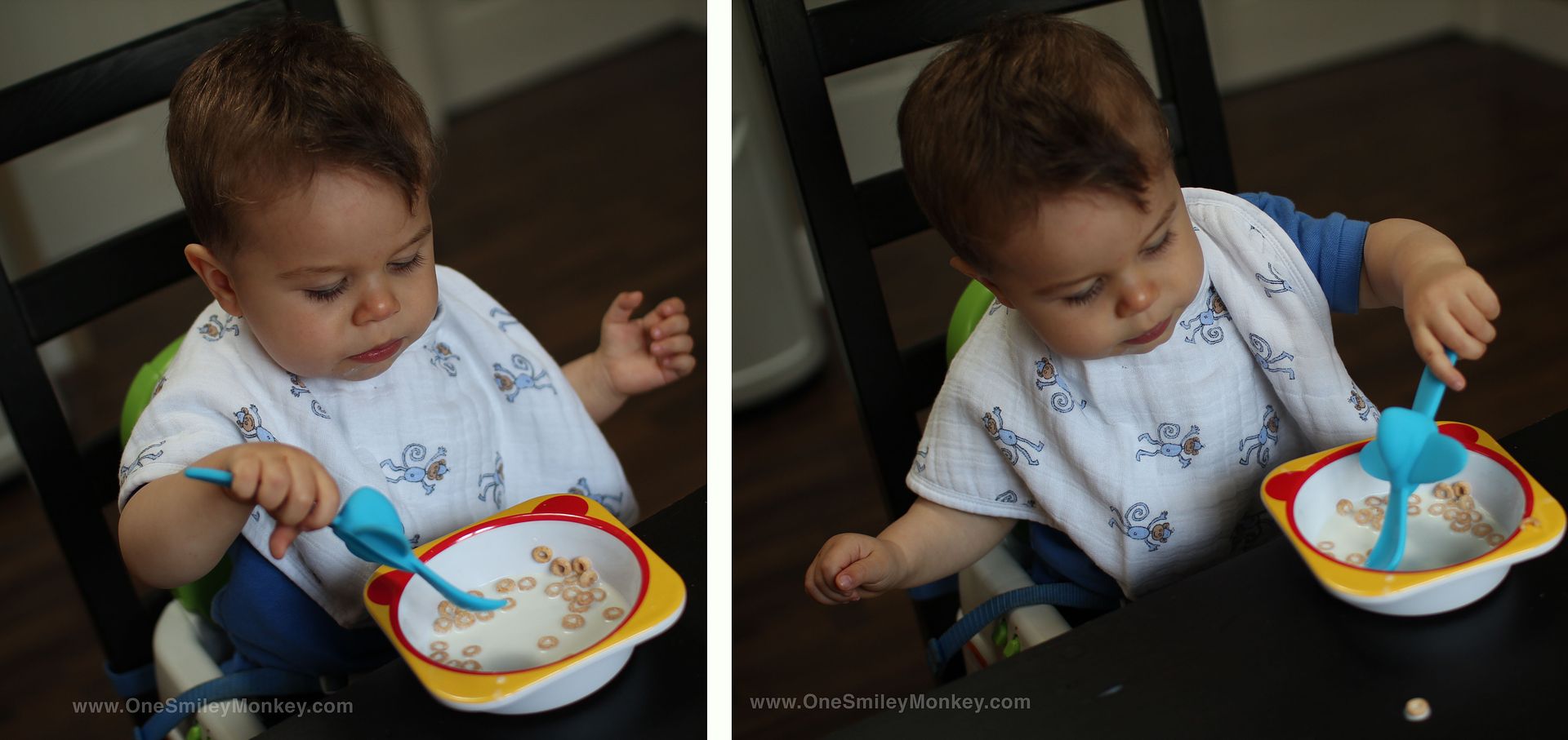 18 Month Old Toddler Diet Funny Image