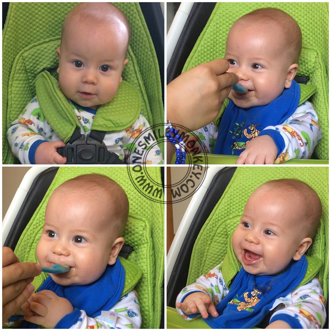 Introducing Solids to Baby with The Perfect Spoon!