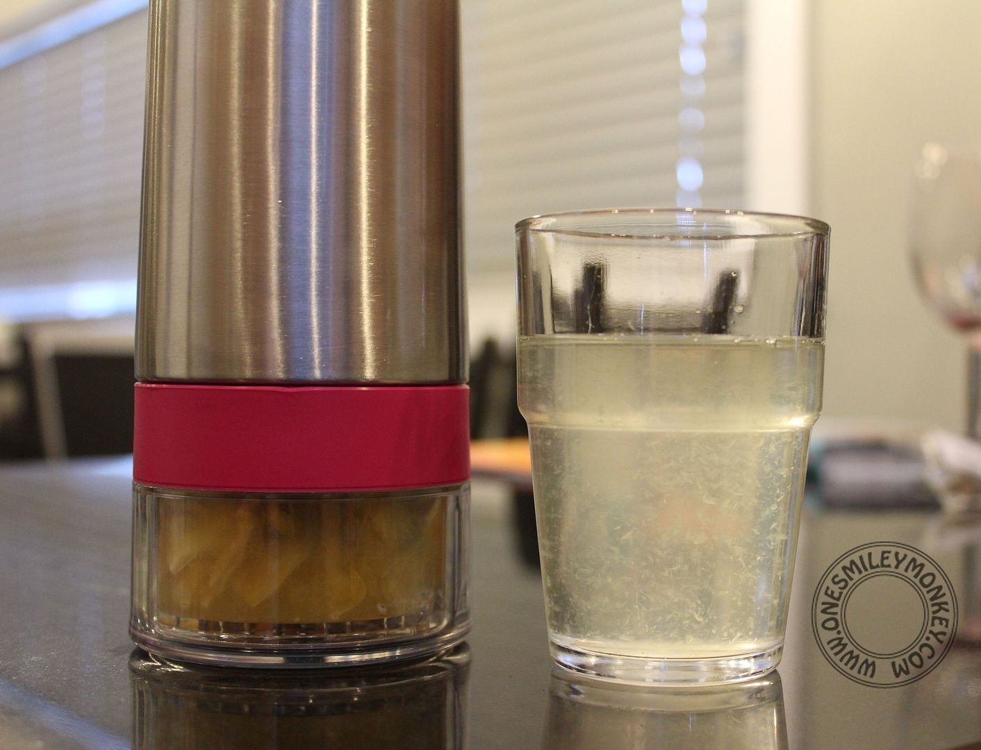 Aqua Zinger Natural Flavored Water Maker Review