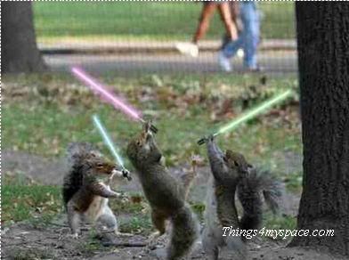 too-funny-pic-of-rat-lightsabers.jpg