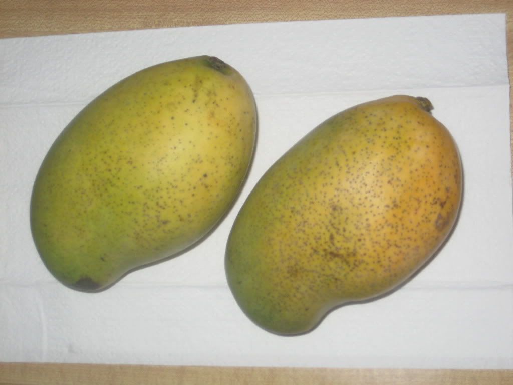 Difference between Ataulfo and Manila mangoes?