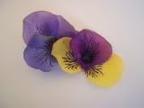 Double Pansy Hair Clip