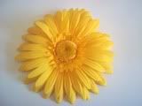 Yellow Gerbera Daisy Hair Clip