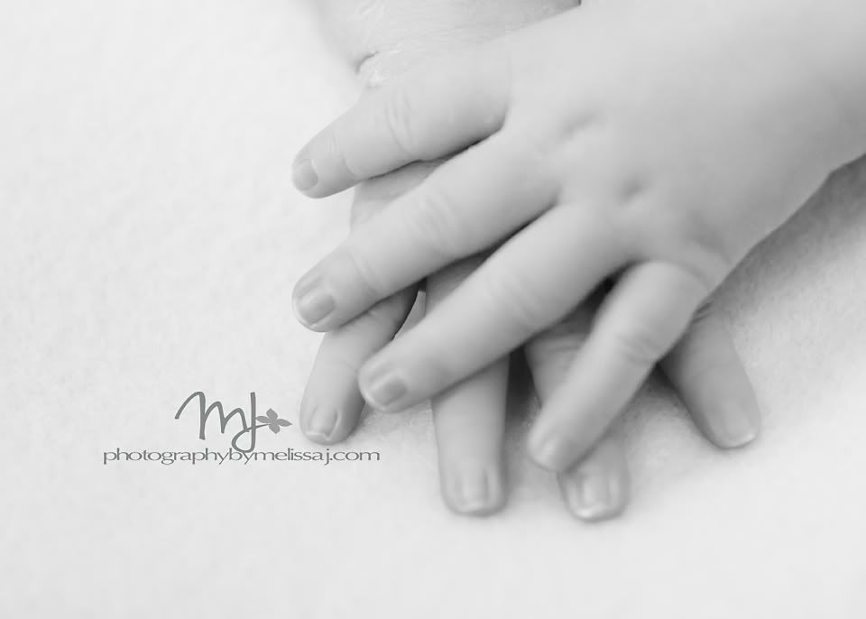 newborn boy hands, www.photographybymelissaj.com  www.facebook.com/photographybymelissaj