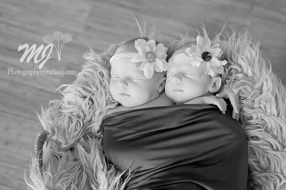 Twin girl newborn session :: Colorado Springs Newborn Photographer :: Photography by Melissa J, twin girls in basket for newborn session by www.photographybymelissaj.com