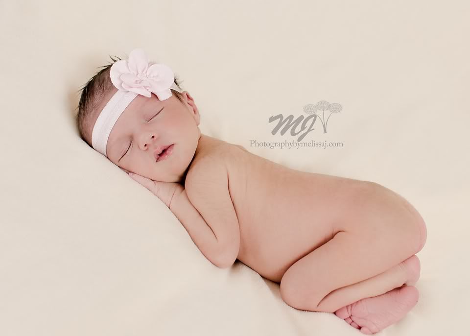 Newborn girl session :: colorado springs newborn photographer