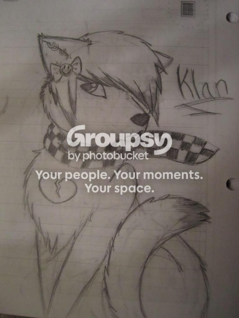User Image