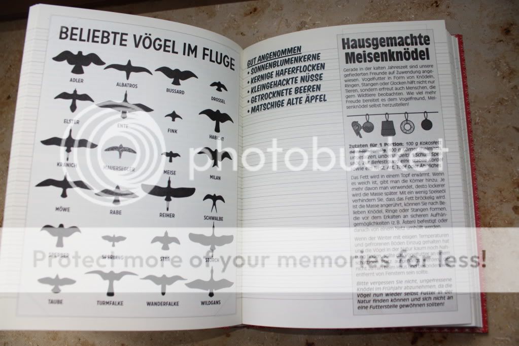 Foto von der Seite mit Infografik zu Vogelsilhouetten im Fluge sowie einem Rezept für Meisenknödel zum Selbermachen im Lily Lux Notizbuch