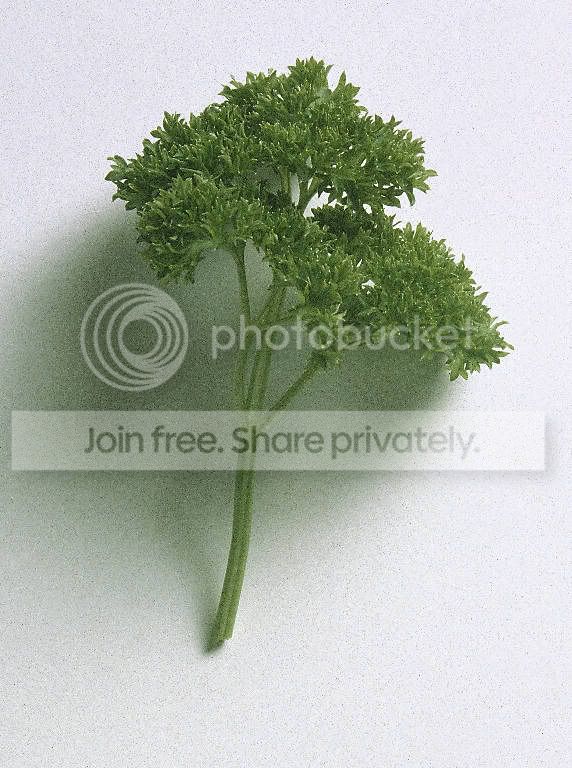 656016.jpg