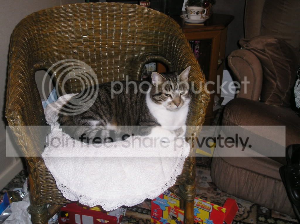 PC250945.jpg