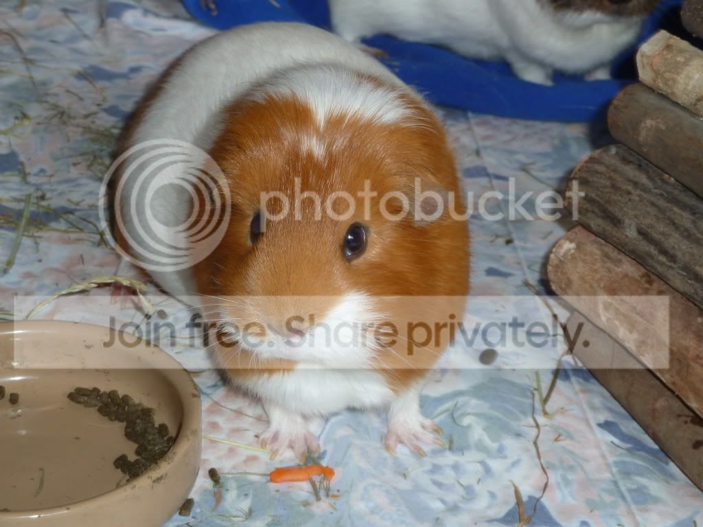 newpic.jpg