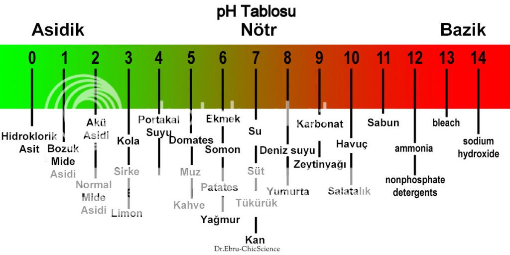 pH dengesi ne demek?